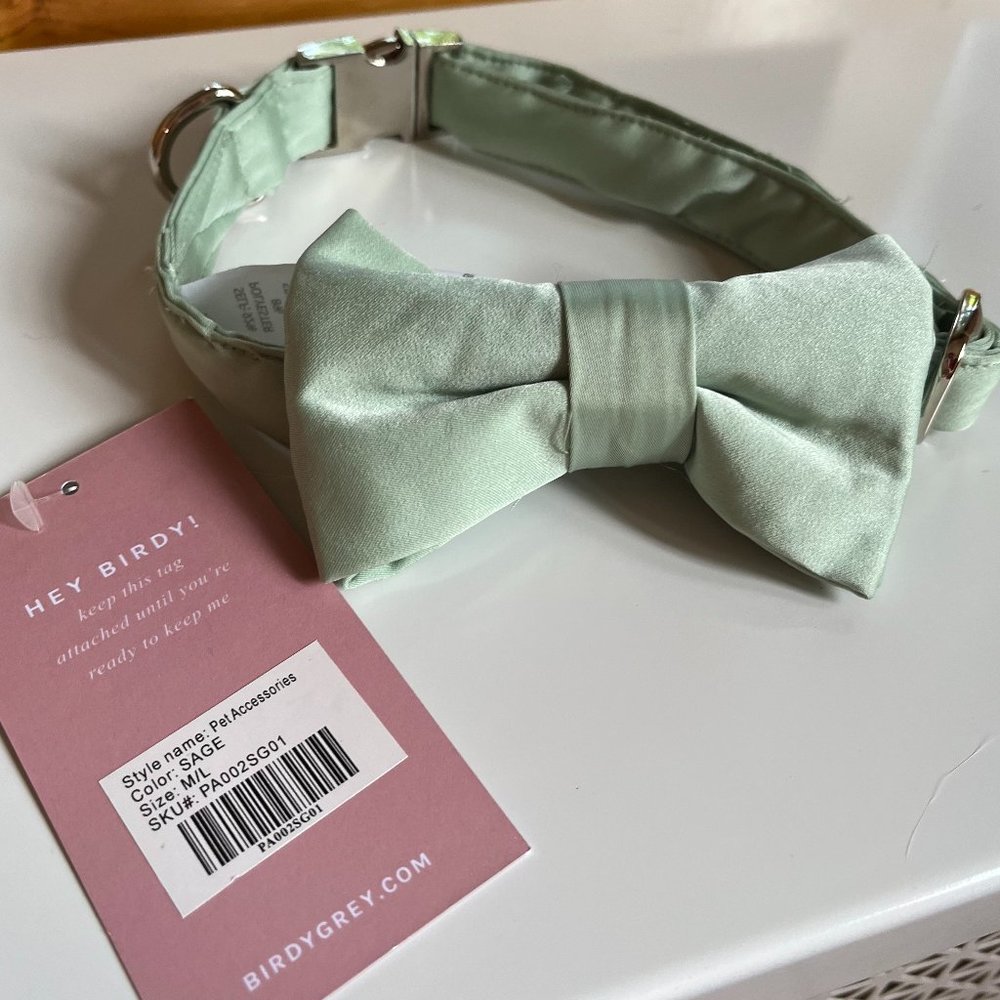 Birdy Grey Muggsy Dog Bow Tie Collar - Sage M/L